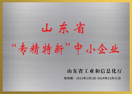 山东省工业和信息化厅 关于公布2022年度山东省“专精特新”中小企业的通知